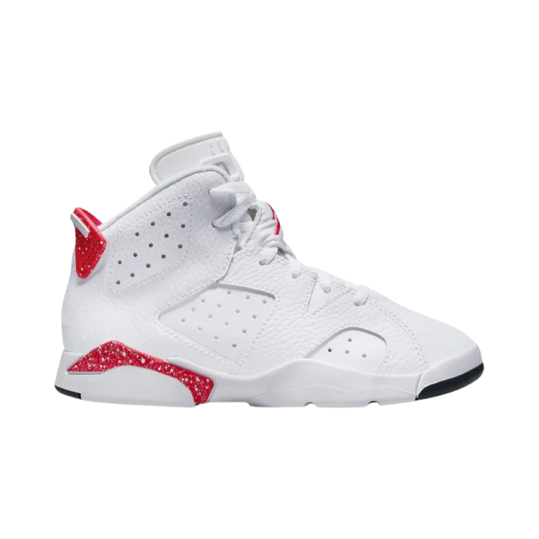 Air Jordan 6 Retro PS