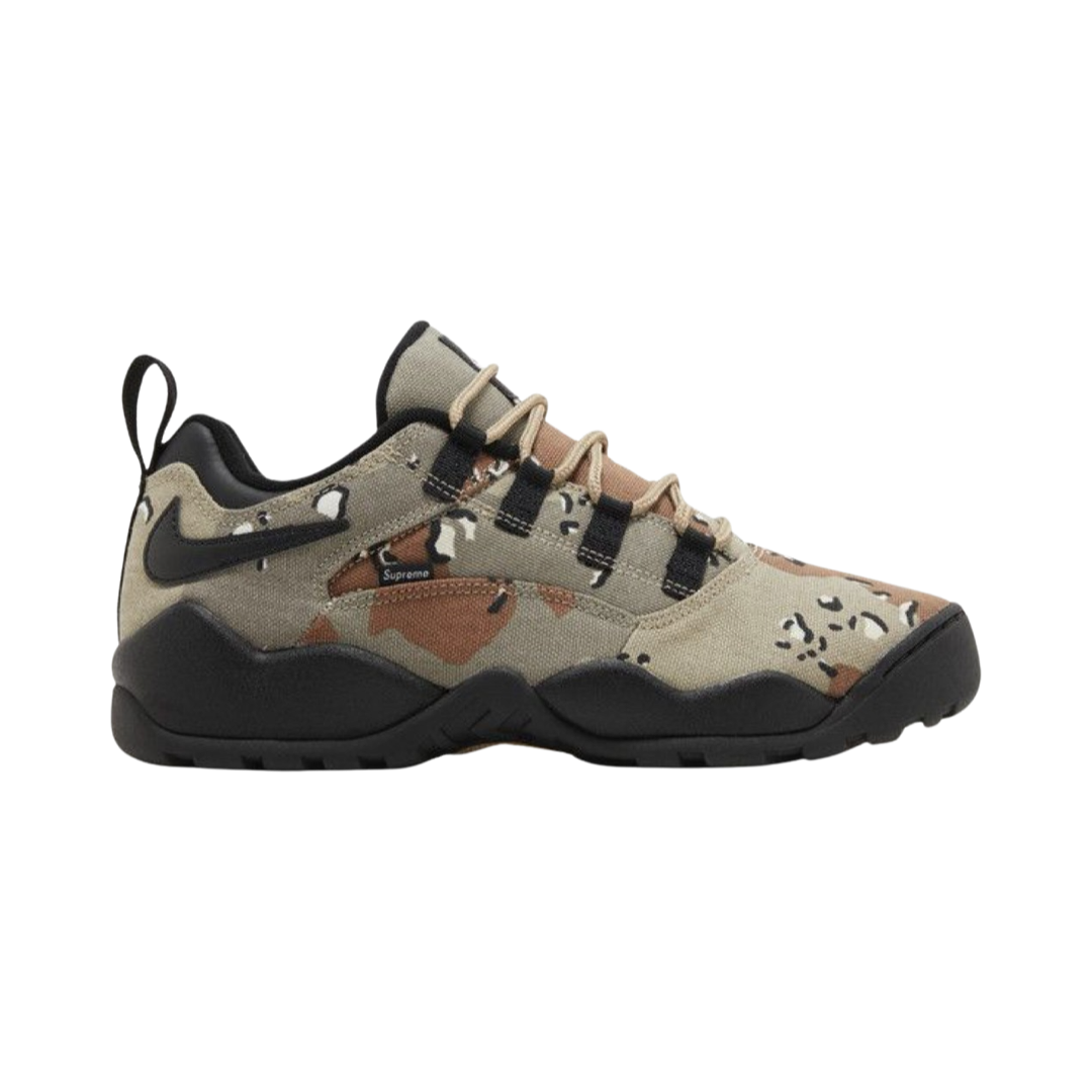 NIKE SB DARWIN LOW