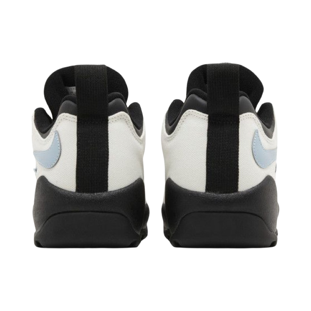 NIKE SB DARWIN LOW