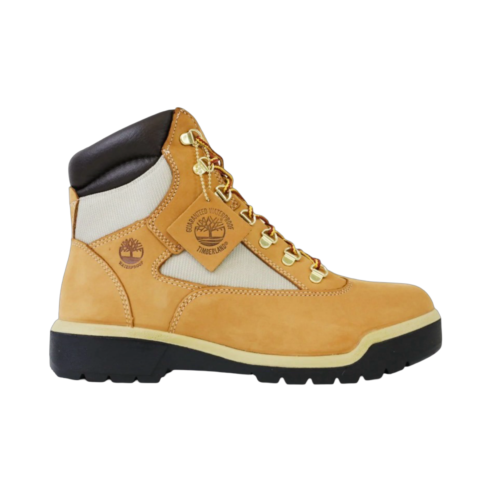 TIMBERLAND 6-Inch Waterproof Field Boot