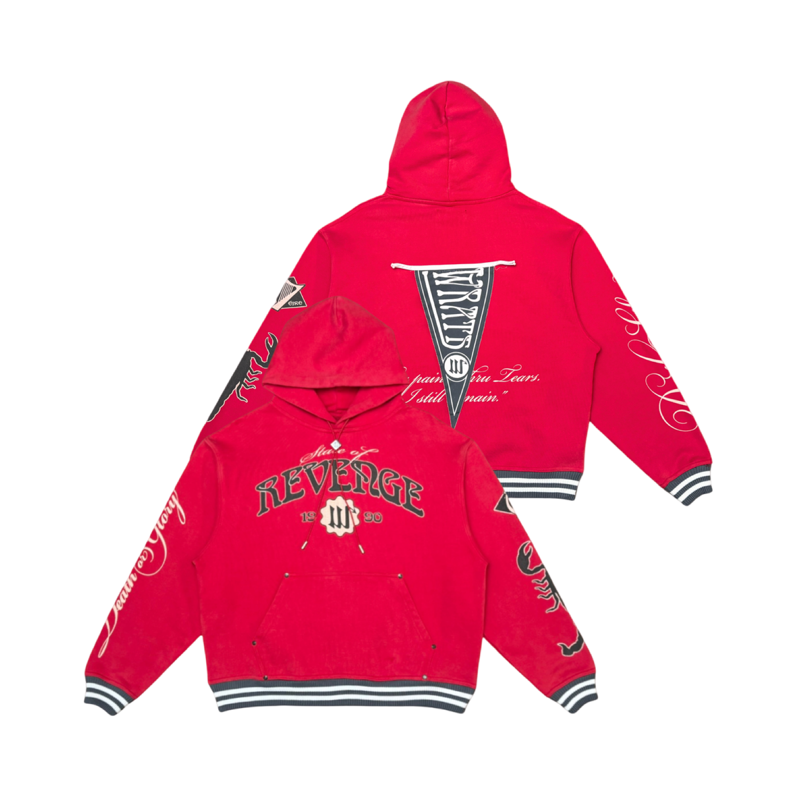VARSITY REVENGE FLAG HOODIE