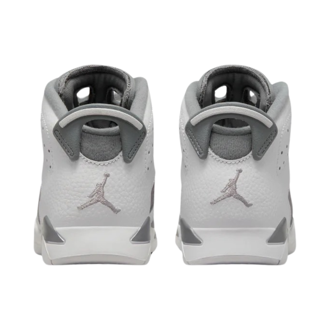 Air Jordan 6 Retro PS