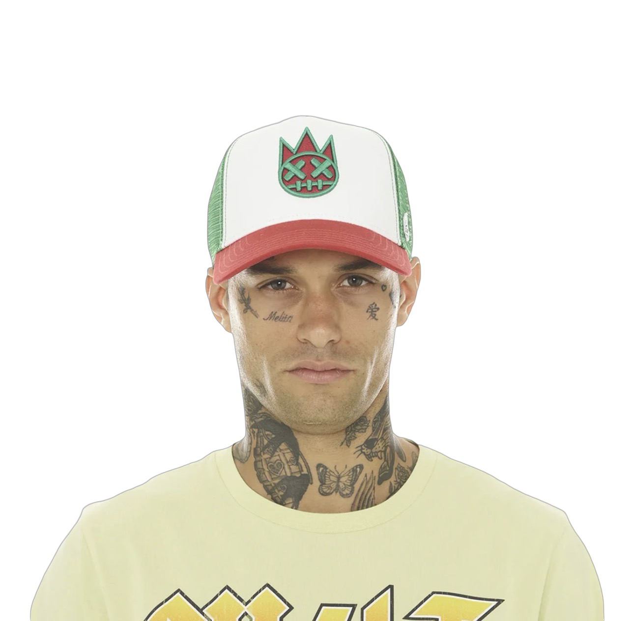 Cult of individuality